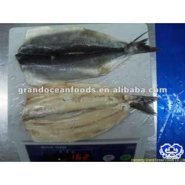 seafood frozen atlantic herring fillet IQF